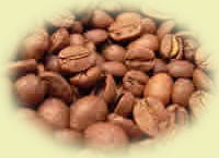 タンザニアAAキボー（キリマンジェロ）コーヒー